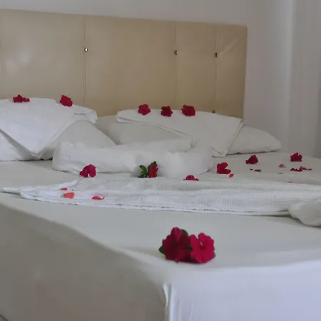 Hotel Aydogar 2*
