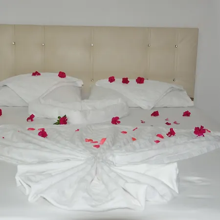Hotel Aydogar 2*